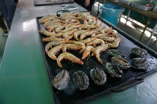DSC03871.jpg