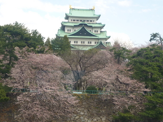 P1020425.JPG